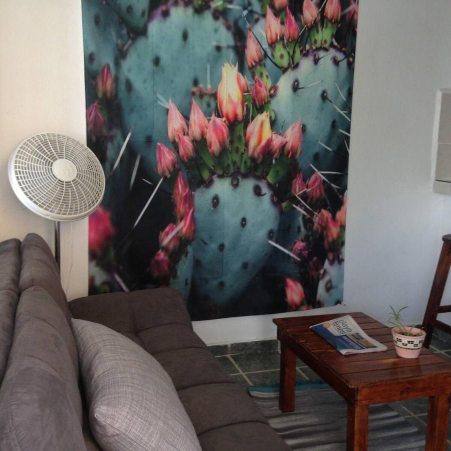 Casa De Hojas Apartment ปลายาเดลการ์เมน ภายนอก รูปภาพ