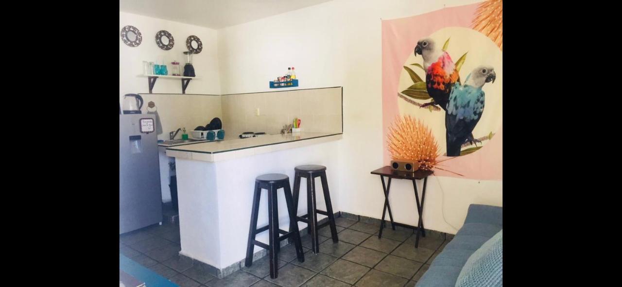Casa De Hojas Apartment ปลายาเดลการ์เมน ภายนอก รูปภาพ