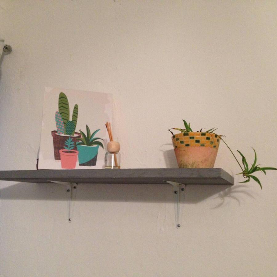 Casa De Hojas Apartment ปลายาเดลการ์เมน ภายนอก รูปภาพ