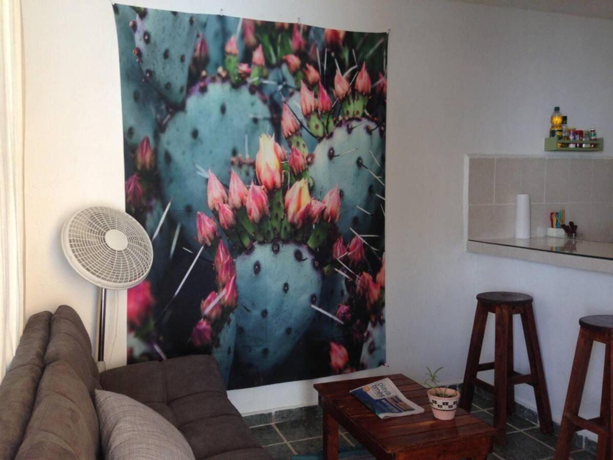 Casa De Hojas Apartment ปลายาเดลการ์เมน ภายนอก รูปภาพ